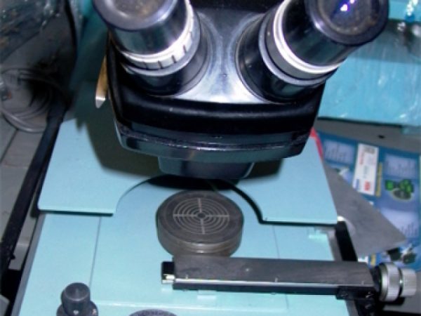 WENTWORTH 2 INCH PROBER