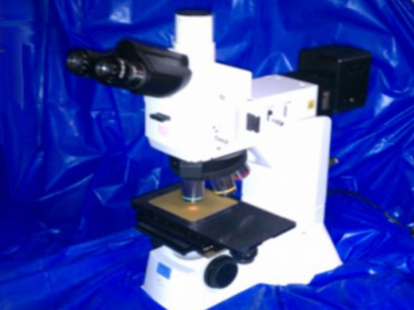 Nikon Eclipse L150 microscope
